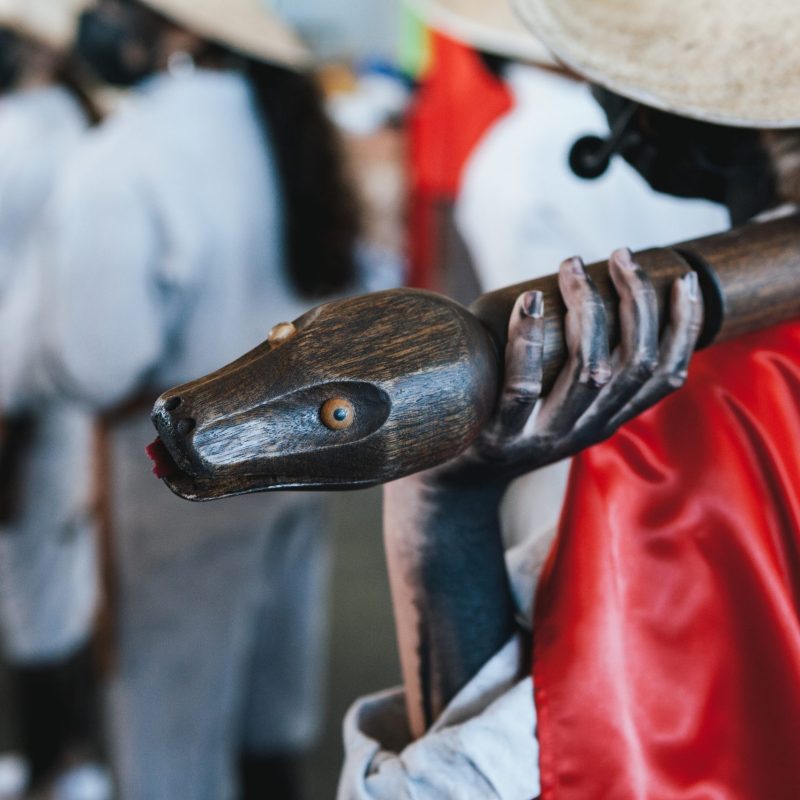 Matar la Culebra (CEIP) San Antonio (5)