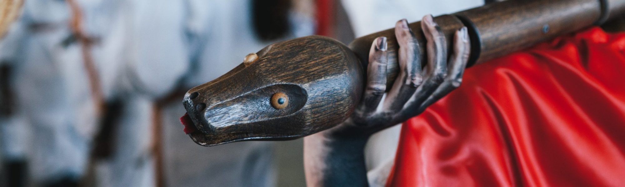 Matar la Culebra (CEIP) San Antonio (5)